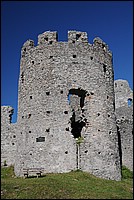 DSC_3668.JPG