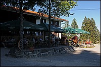 DSC_3727G.jpg