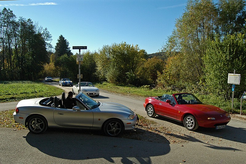 DSC_8191DG.jpg