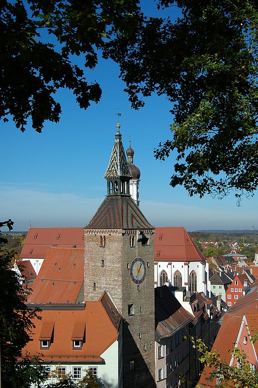 DSC_8233D.jpg