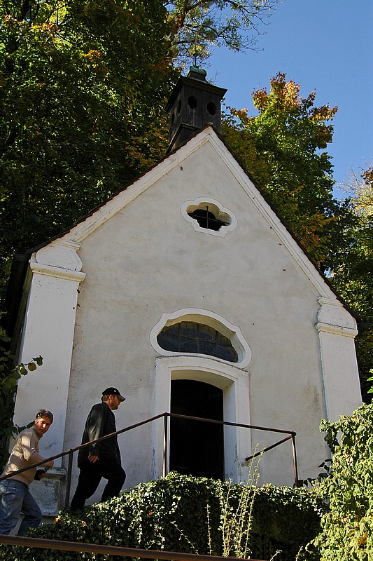 DSC_8239DG.jpg
