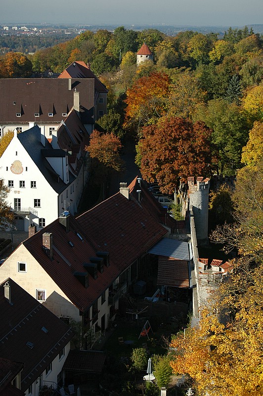 DSC_8320.JPG