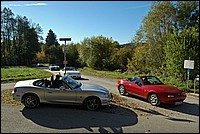 DSC_8191DG.jpg