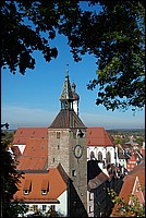 DSC_8233D.jpg