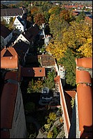 DSC_8313.JPG