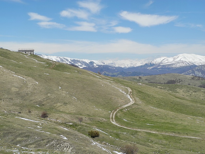 DSCN0480.JPG
