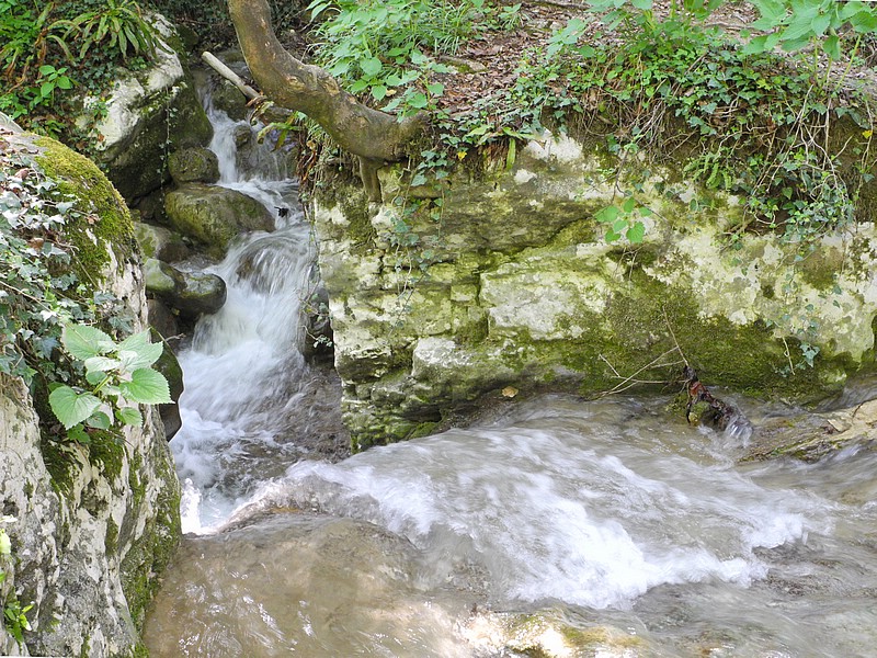 DSCN0492CD.jpg
