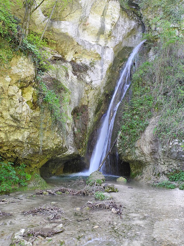 DSCN0495.JPG