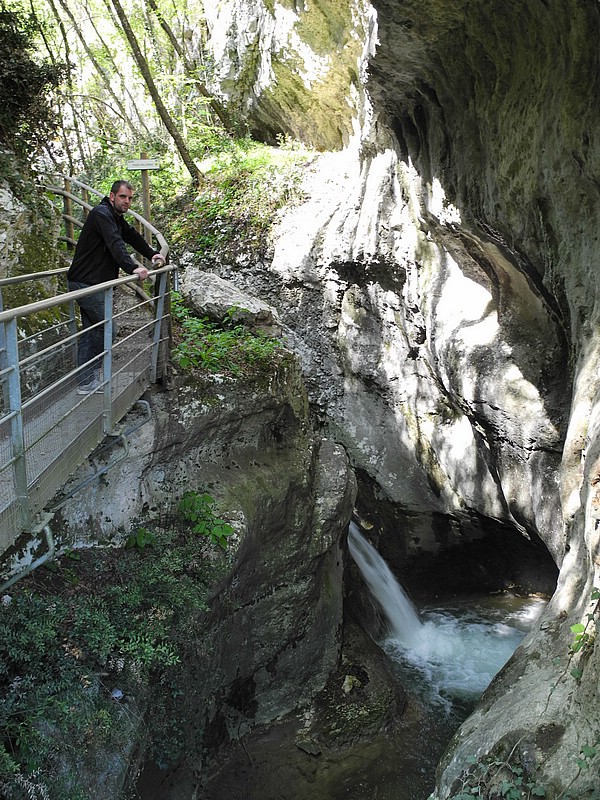 DSCN0498.JPG