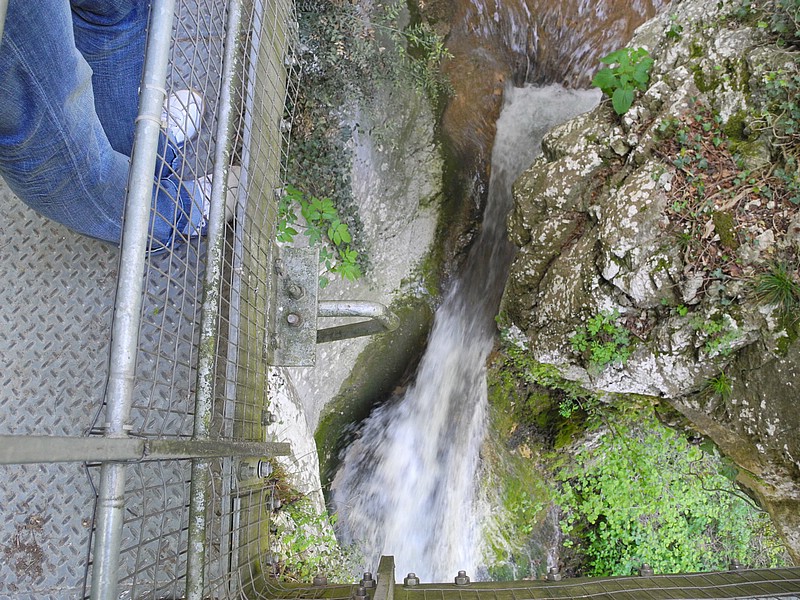 DSCN0499.JPG