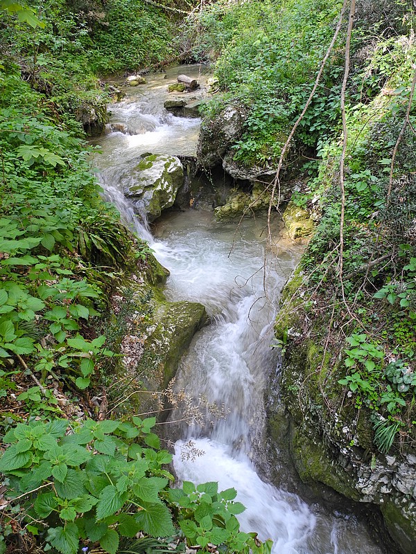 DSCN0500.JPG