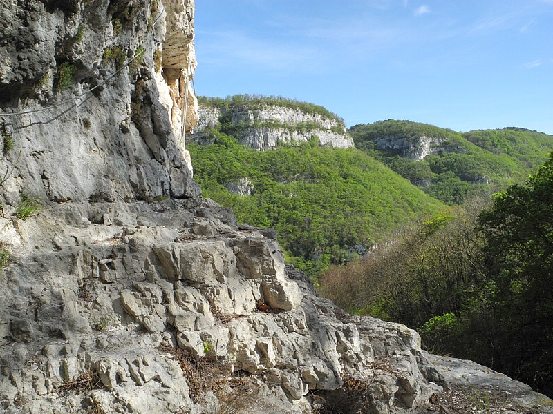 DSCN0552.JPG