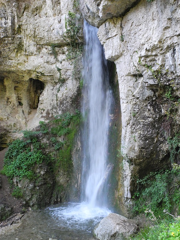 DSCN0556.JPG