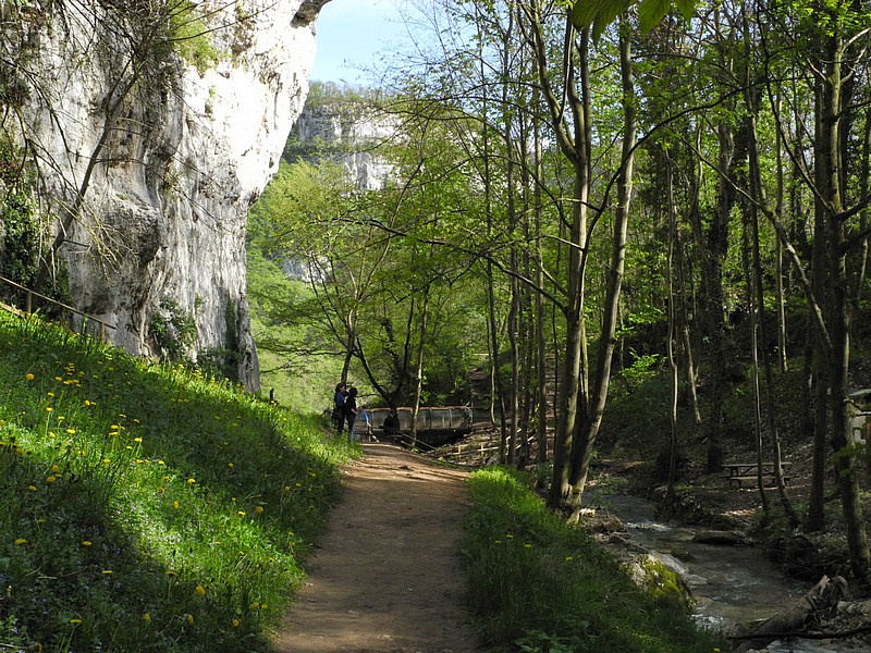 DSCN0558.JPG