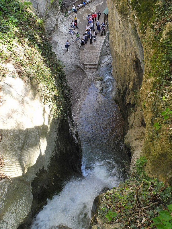 DSCN0561.JPG