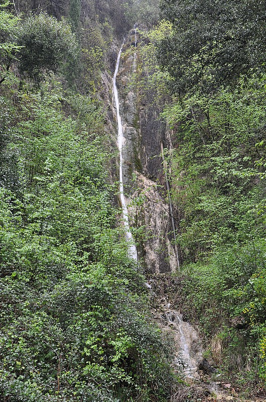 DSC_0146.JPG