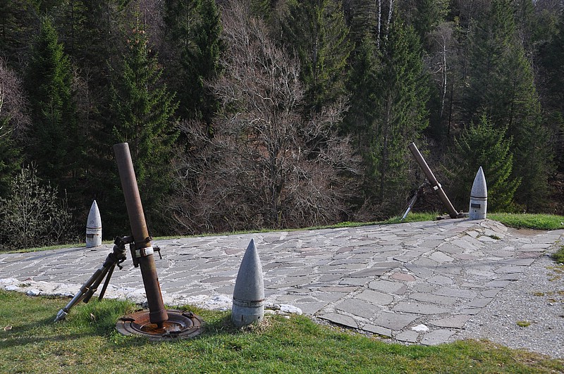 DSC_0217.JPG