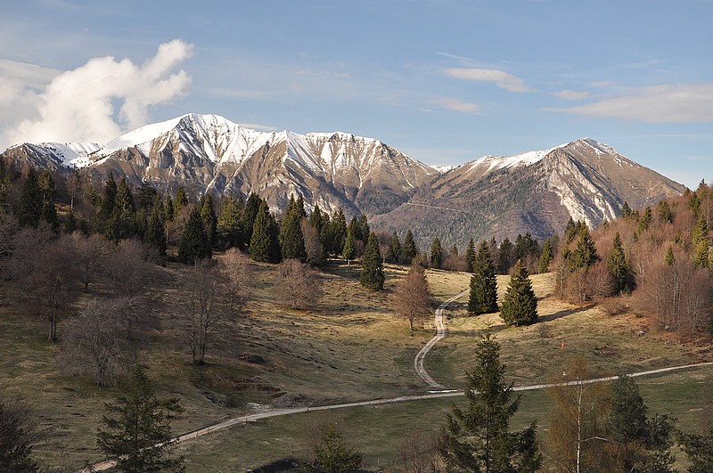 DSC_0241.JPG