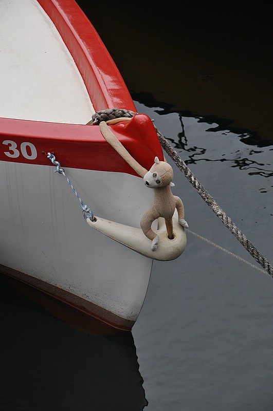 DSC_0337.JPG