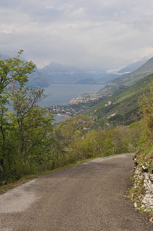 DSC_0395.JPG