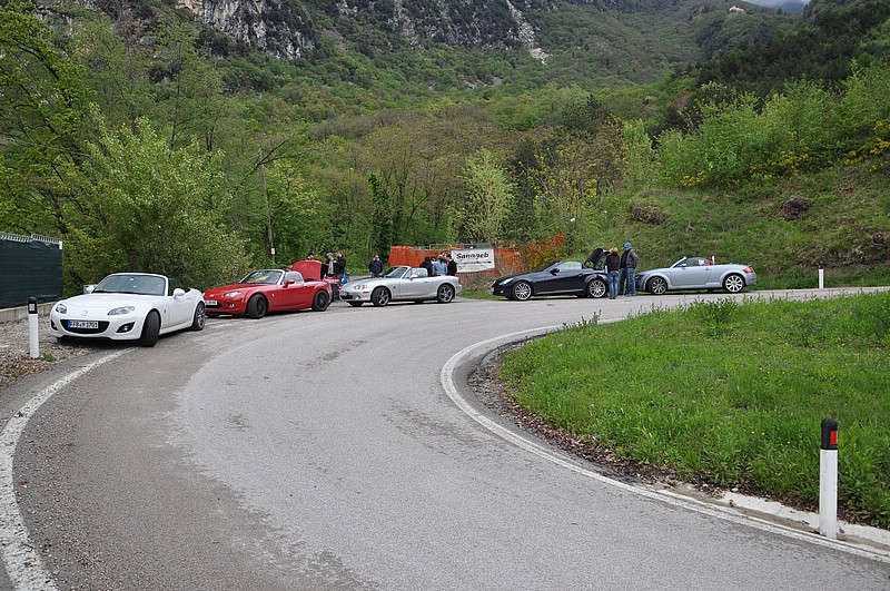 DSC_0421.JPG