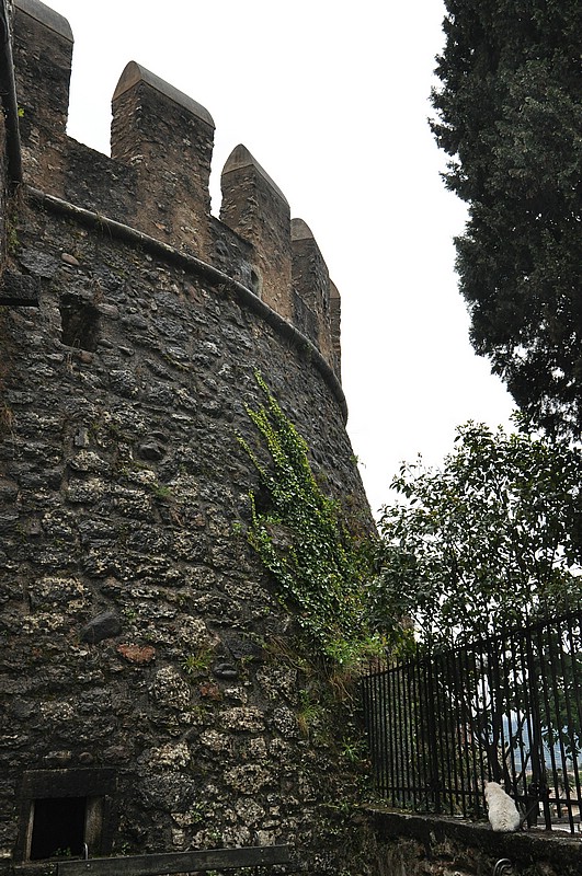 DSC_0433.JPG