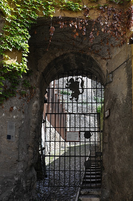 DSC_0572.JPG