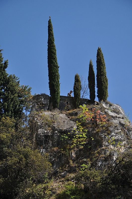 DSC_0705.JPG