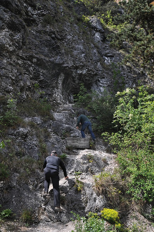 DSC_0795.JPG