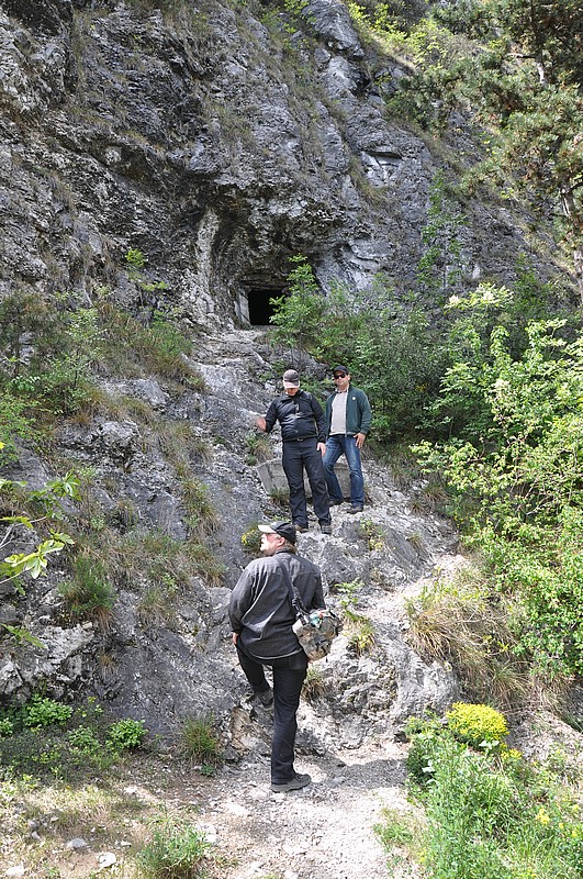 DSC_0802.JPG