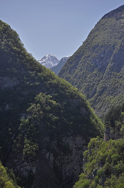 DSC_1159Co.jpg