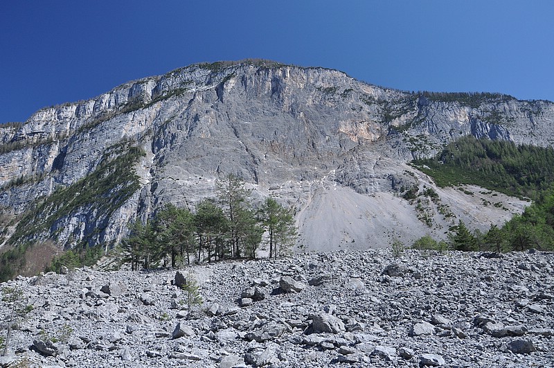 DSC_1174.JPG