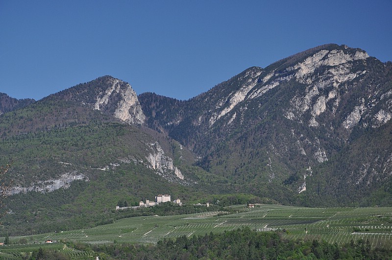 DSC_1193.JPG