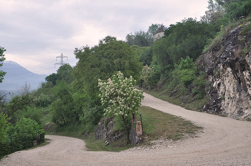 DSC_1198Co.jpg