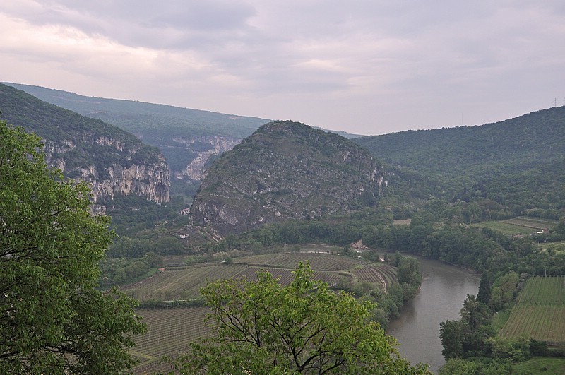 DSC_1199GCo.jpg
