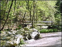 DSCN0488G.jpg
