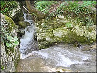 DSCN0492CD.jpg