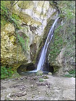 DSCN0495.JPG