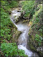 DSCN0500.JPG