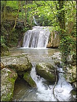 DSCN0505.JPG