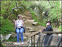 DSCN0522.JPG