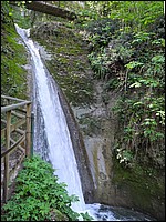 DSCN0524D.jpg