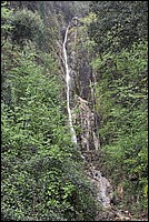 DSC_0146.JPG