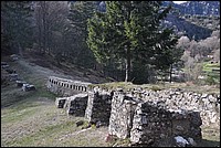 DSC_0233.JPG