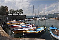 DSC_0299G.jpg