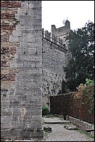 DSC_0309.JPG