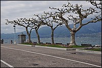 DSC_0311.JPG