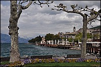 DSC_0321D.jpg