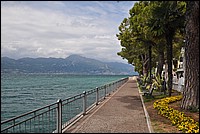 DSC_0335.JPG