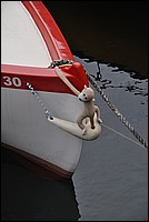DSC_0337.JPG